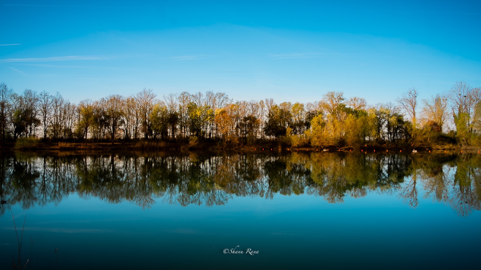 Trees perfectly mirrored in a calm blue lake