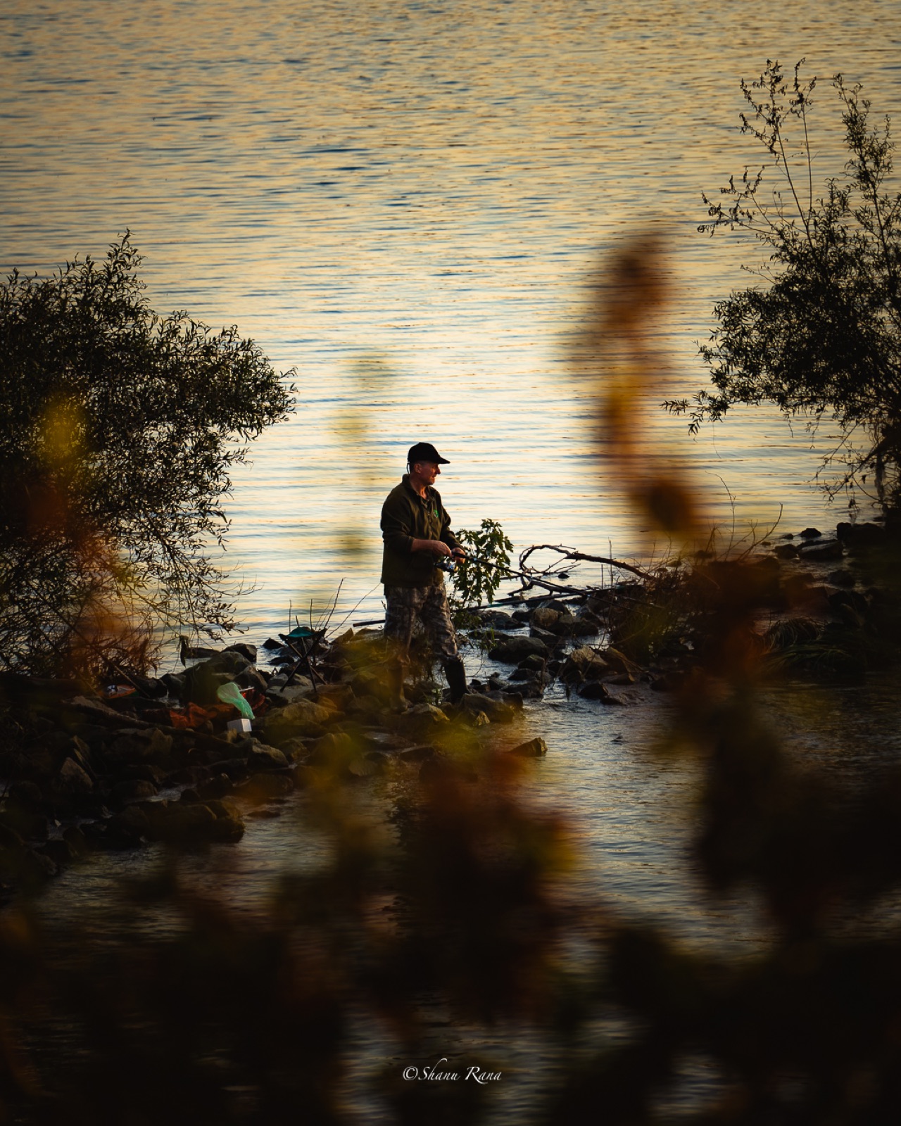 Fisherman standing at the golden water's edge