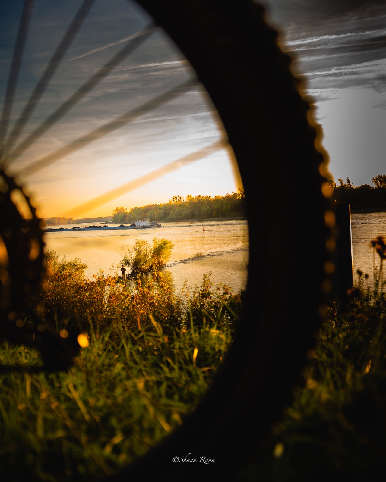 River sunset and barge seen through a bicycle wheel